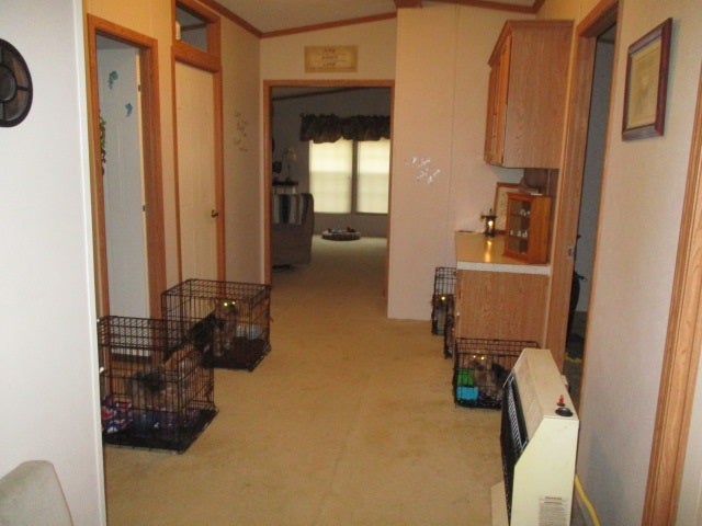 296b Madison Creek Road Salt Rock, WV 25559 - Photo 8 of 10 Gallery Image 8