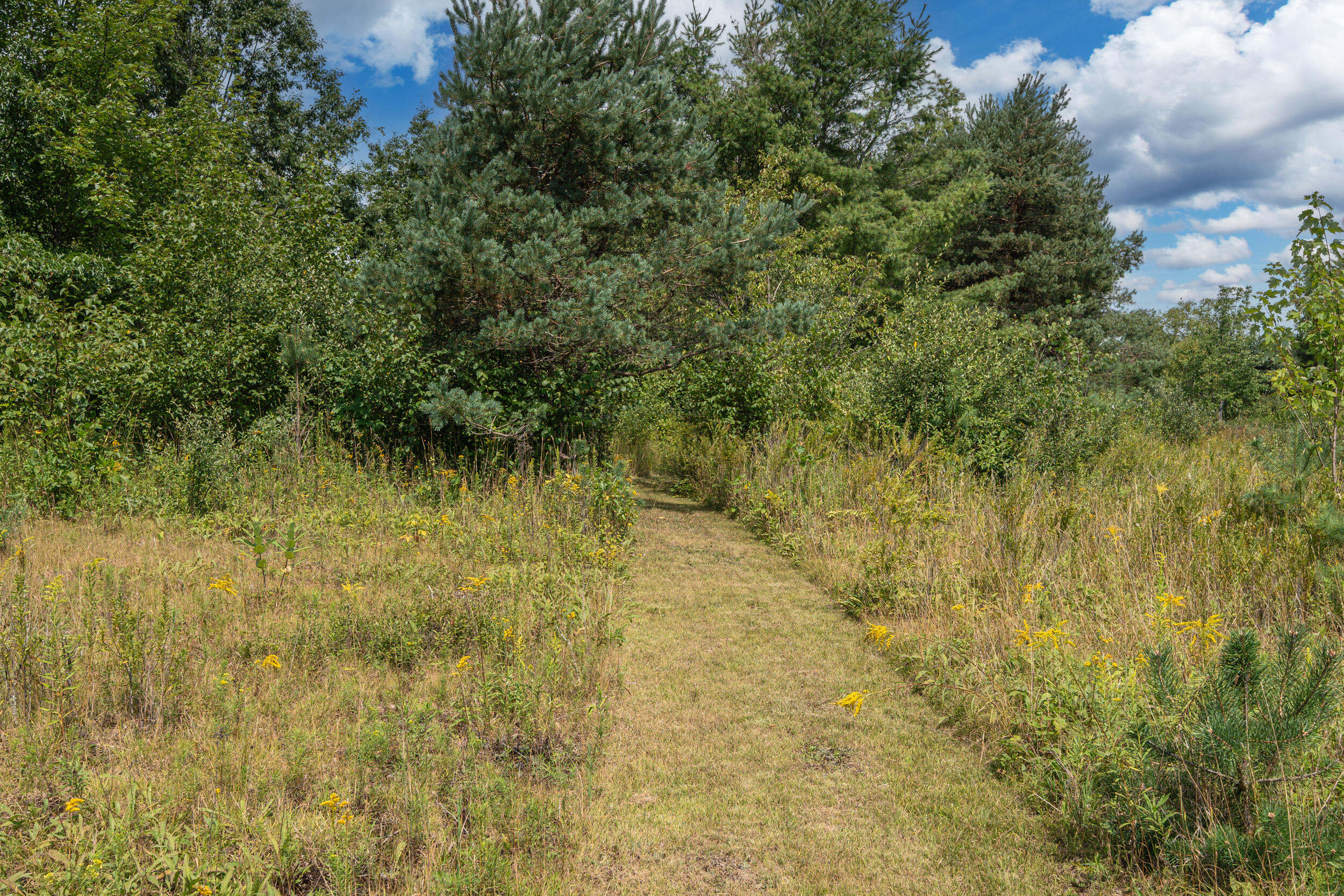 16406 9 Mile Road Reed City, MI 49677 - Photo 22 of 41 Trails