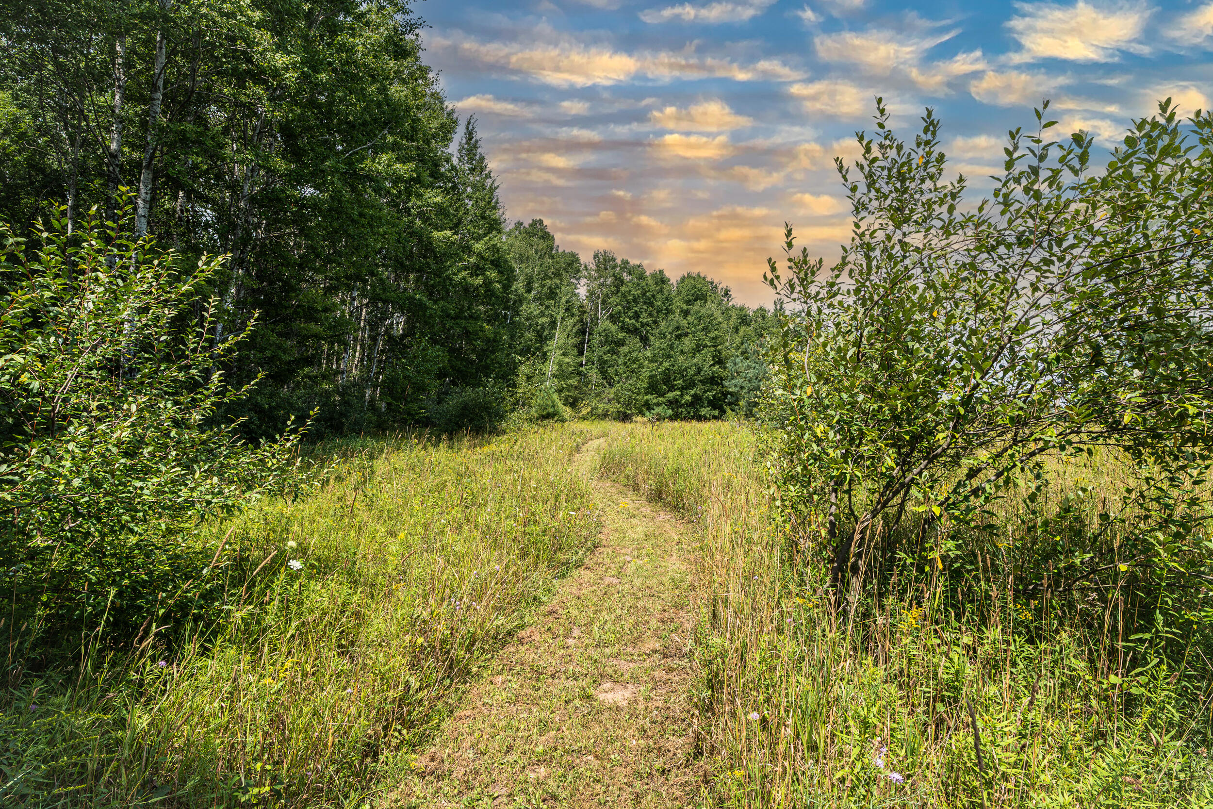 16406 9 Mile Road Reed City, MI 49677 - Photo 23 of 41 Trails