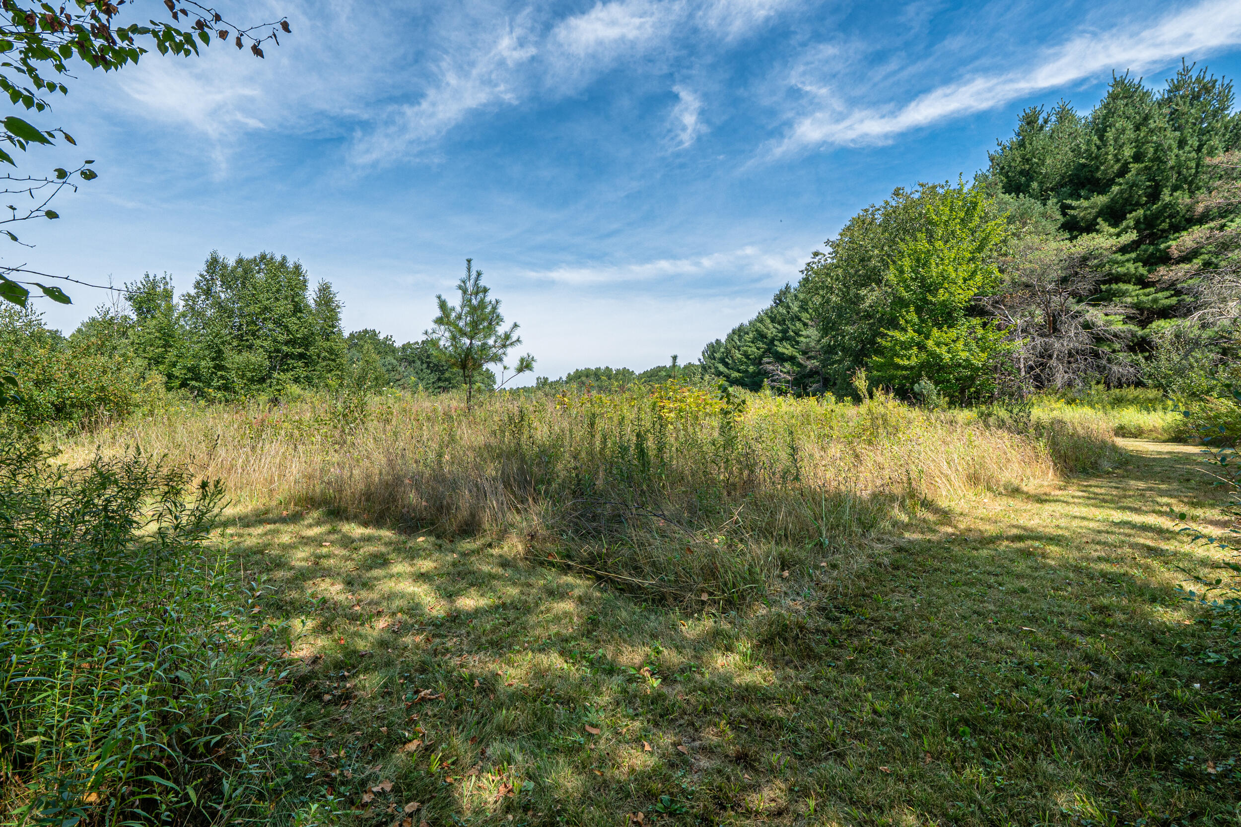 16406 9 Mile Road Reed City, MI 49677 - Photo 24 of 41 Trails