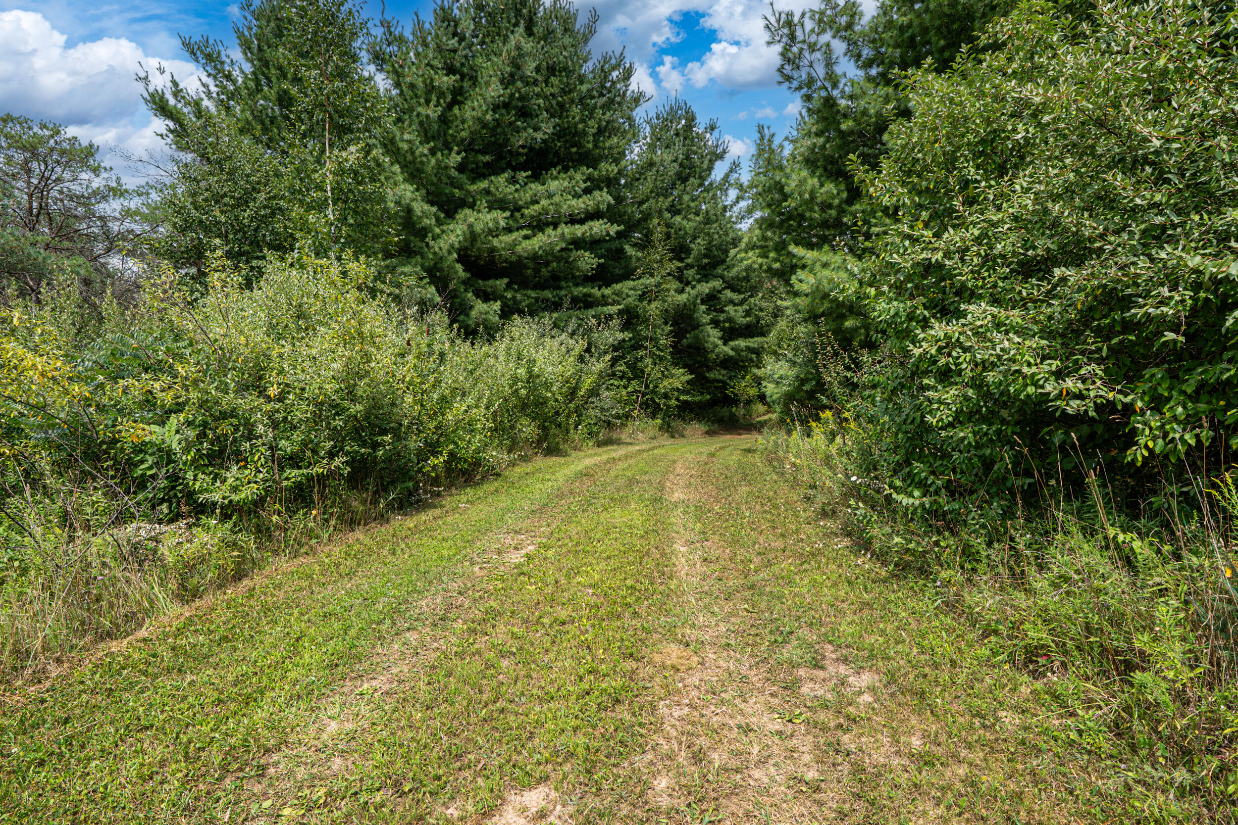 16406 9 Mile Road Reed City, MI 49677 - Photo 26 of 41 Trails
