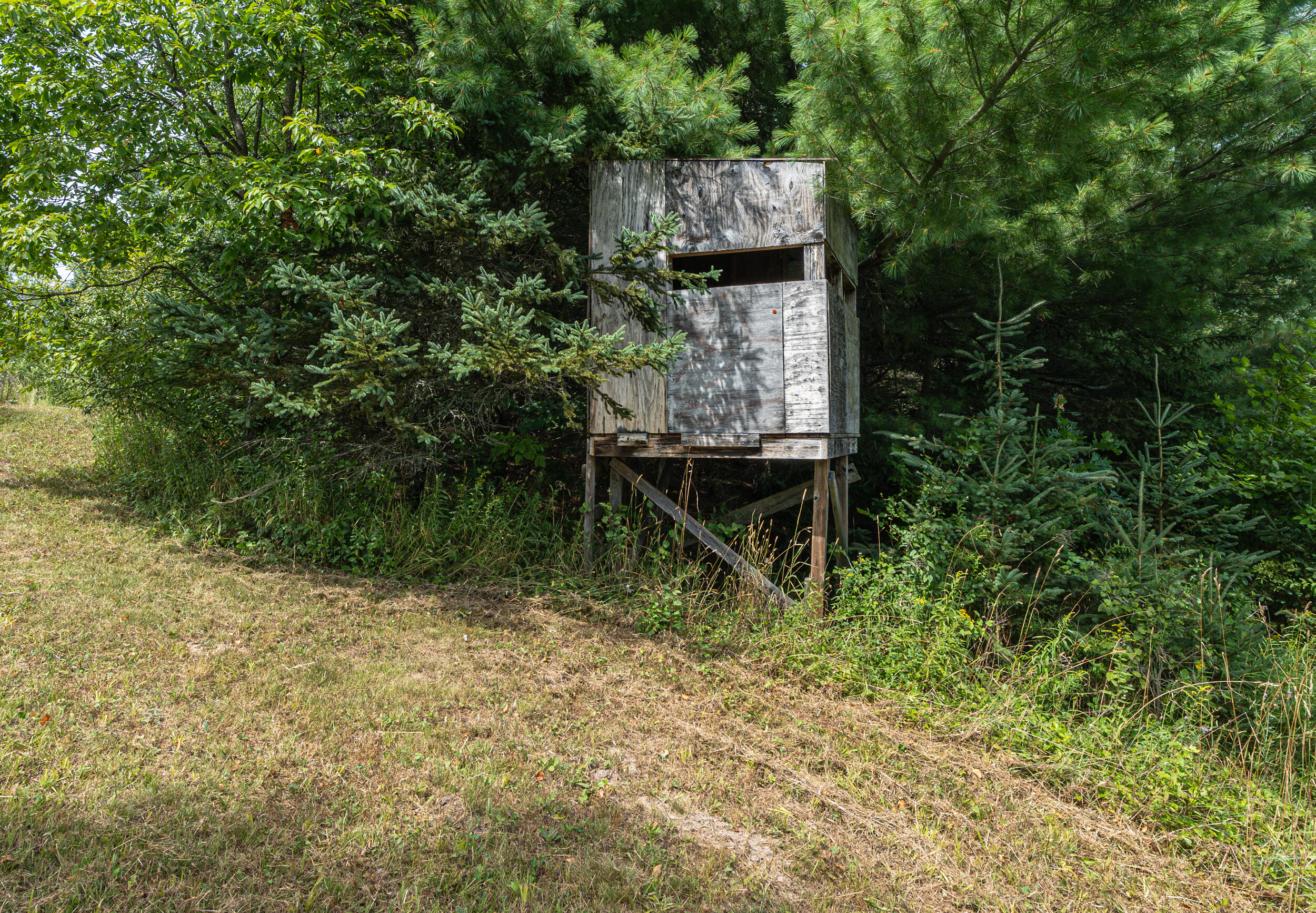 16406 9 Mile Road Reed City, MI 49677 - Photo 27 of 41 Blind
