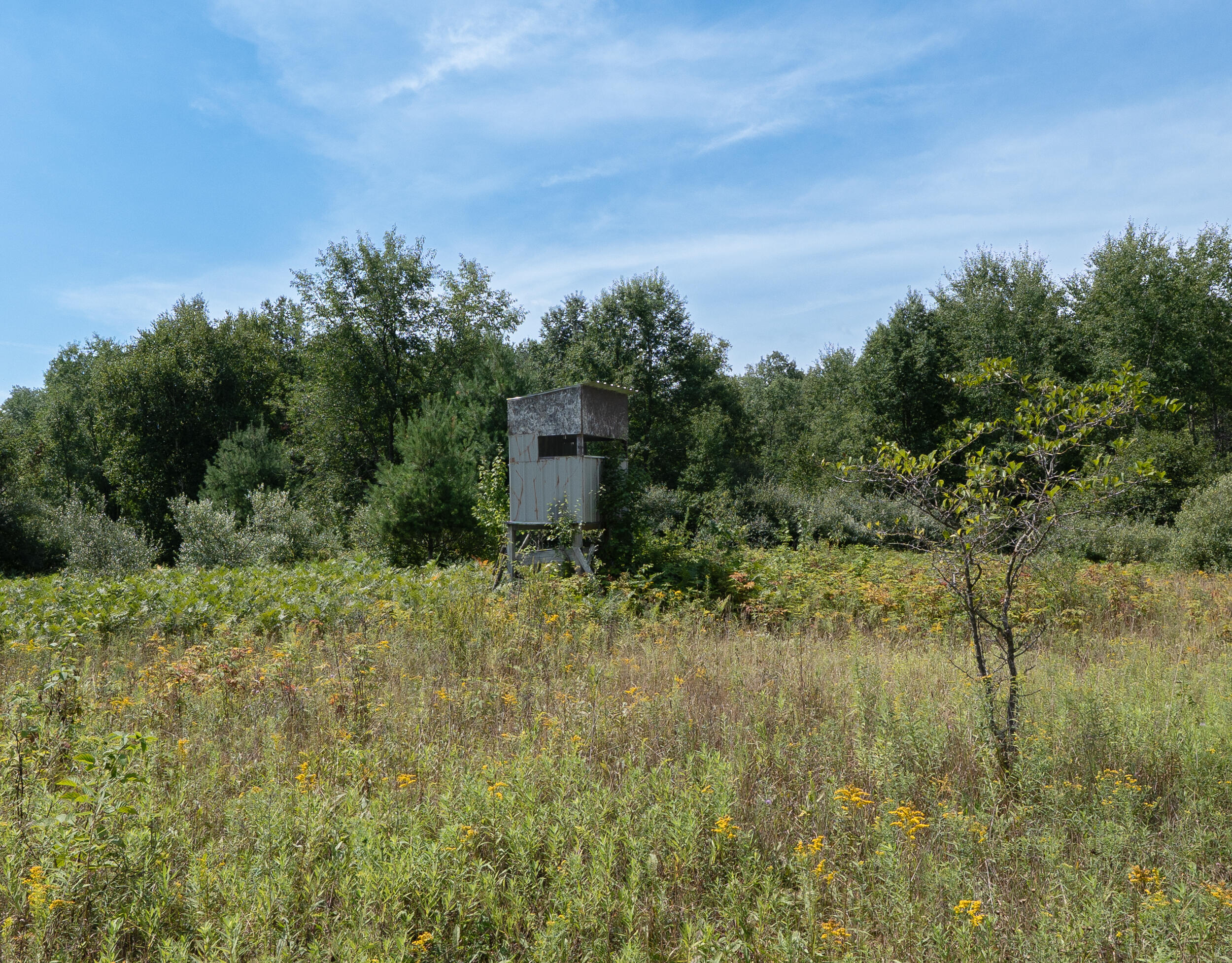 16406 9 Mile Road Reed City, MI 49677 - Photo 28 of 41 Blind