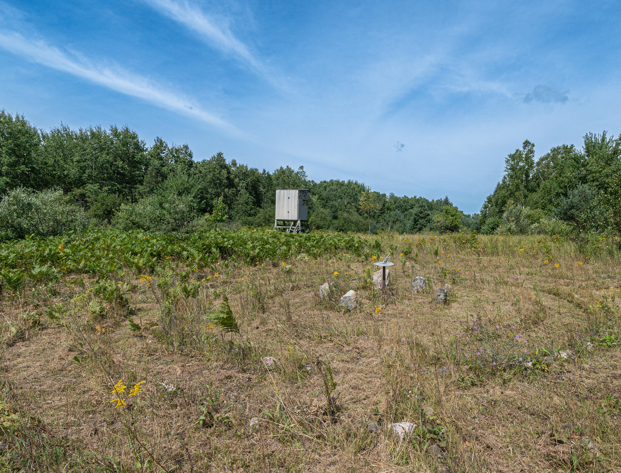 16406 9 Mile Road Reed City, MI 49677 - Photo 29 of 41 Blind
