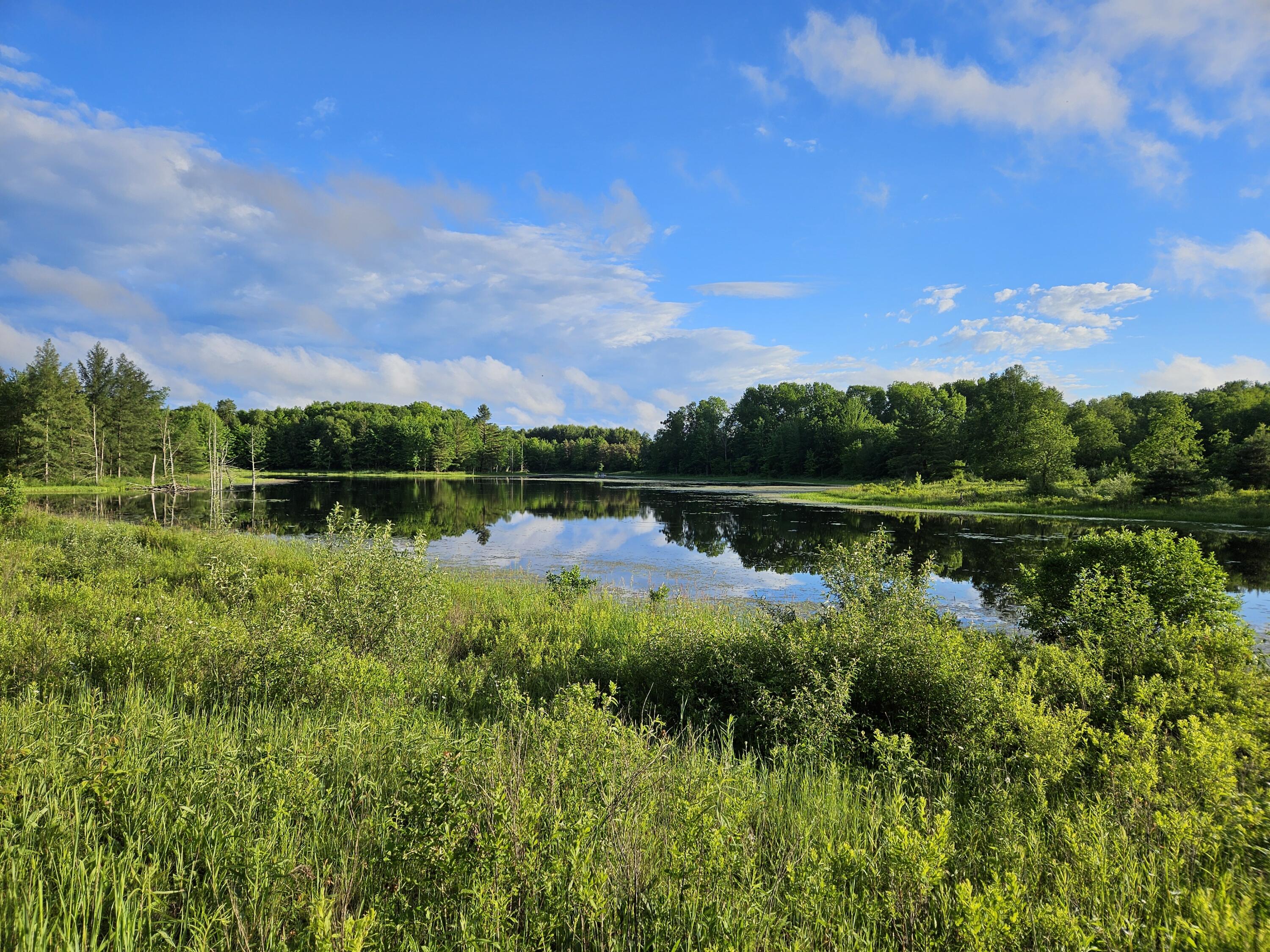 16406 9 Mile Road Reed City, MI 49677 - Photo 33 of 41 IMG_0435