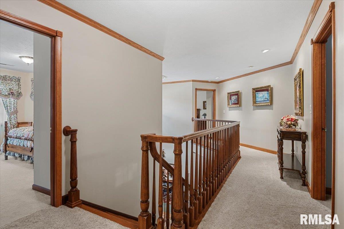 49 Woodland Trail Rochester, IL 62563 - Photo 36 of 98