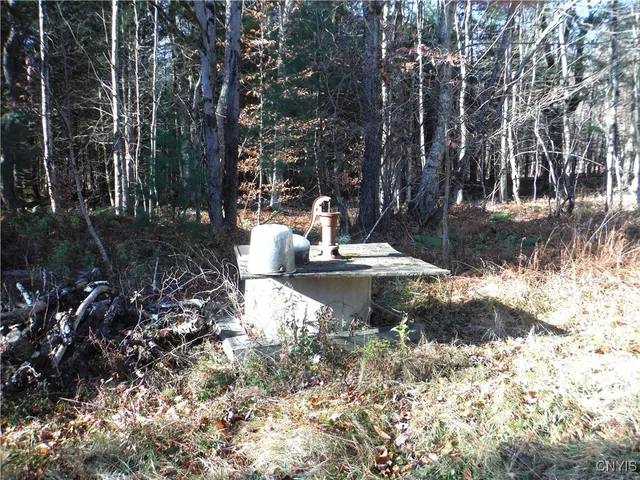 $179,000 | X Buck Lake Road, Port Leyden, NY 13433