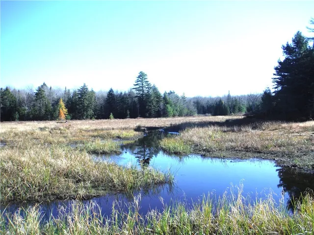 $179,000 | X Buck Lake Road, Port Leyden, NY 13433