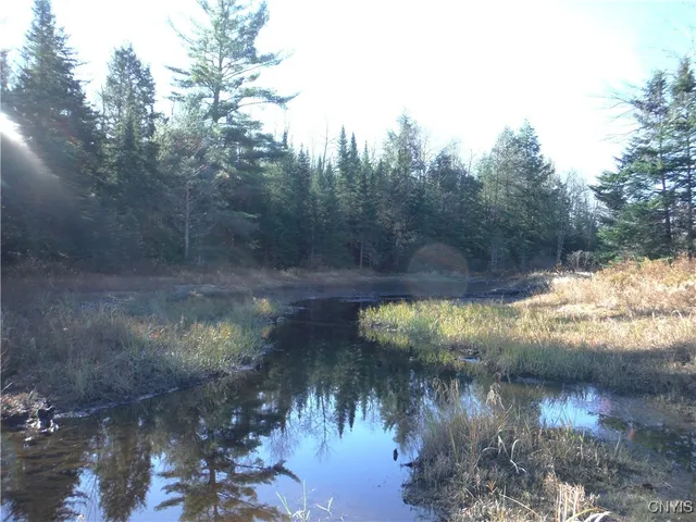 $179,000 | X Buck Lake Road, Port Leyden, NY 13433