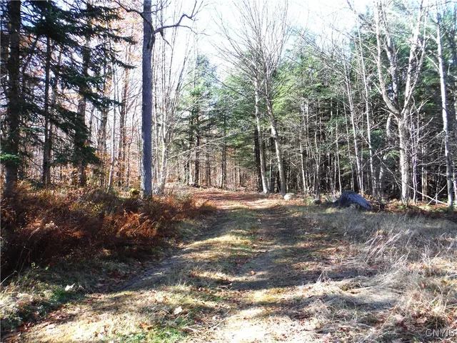 $179,000 | X Buck Lake Road, Port Leyden, NY 13433