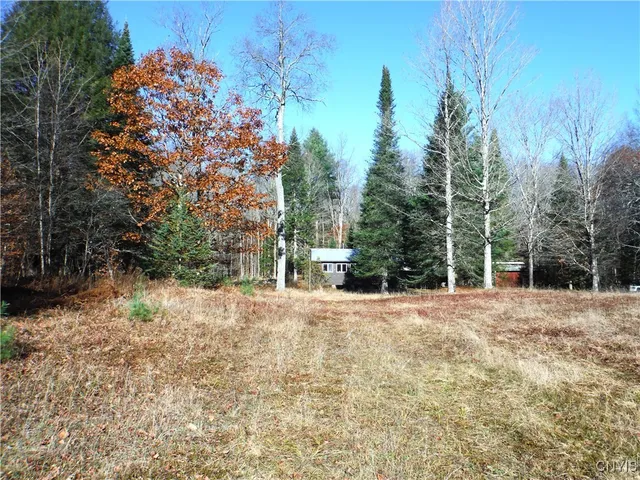 $179,000 | X Buck Lake Road, Port Leyden, NY 13433