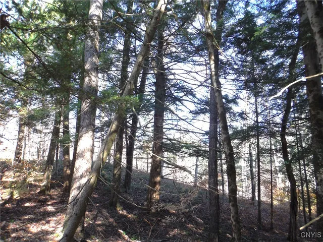 $179,000 | X Buck Lake Road, Port Leyden, NY 13433