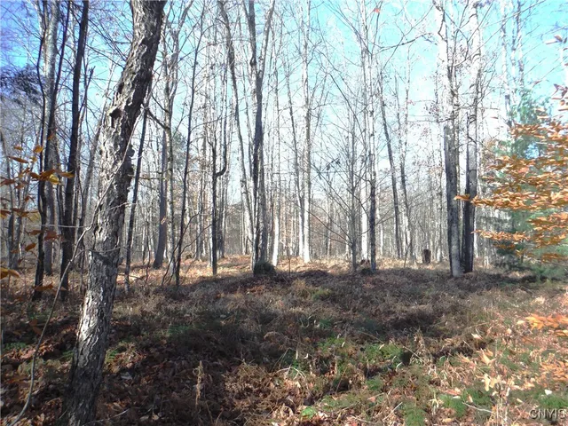 $179,000 | X Buck Lake Road, Port Leyden, NY 13433