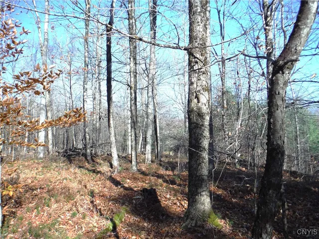 $179,000 | X Buck Lake Road, Port Leyden, NY 13433