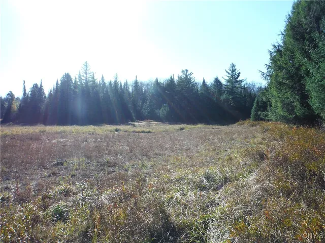 $179,000 | X Buck Lake Road, Port Leyden, NY 13433