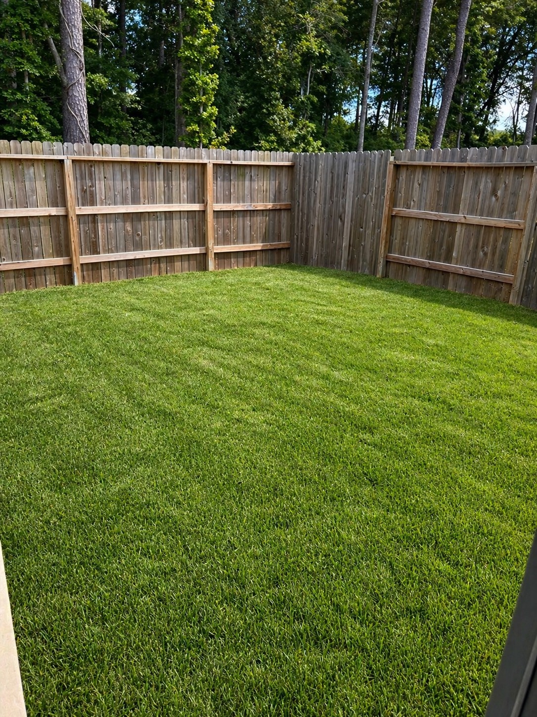 22724 Hackberry New Caney, TX 77357 - Photo 6 of 6