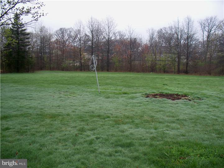 113 Stump Road North Wales, PA 19454 - Photo 12 of 13 Back Yard