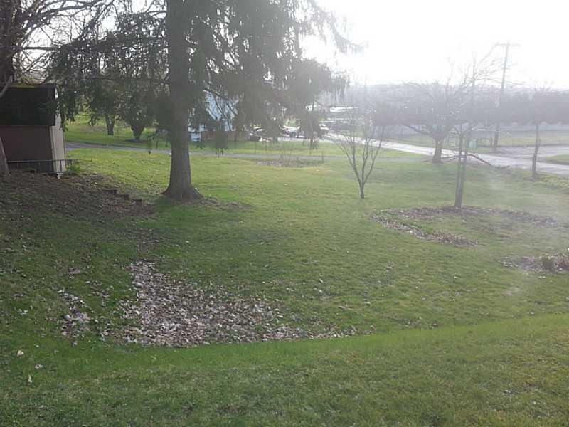 3524 Sharon Road West Middlesex, PA 16159 - Photo 4 of 7 Yard/Garden.