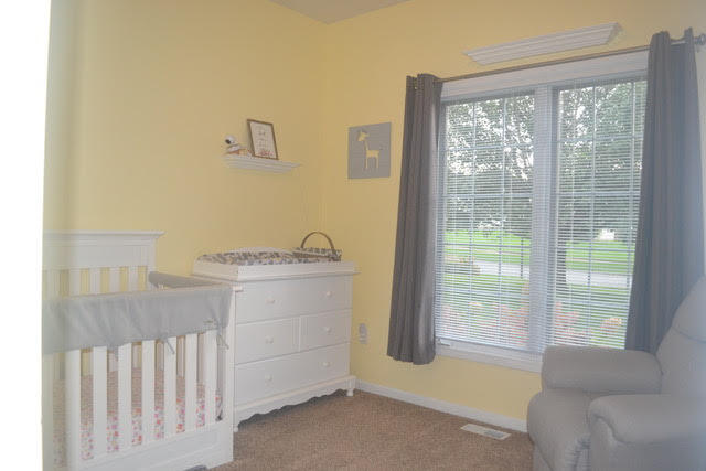 4037 Patti Road Dorr, MI 49323 - Photo 26 of 41 unnamed (7)