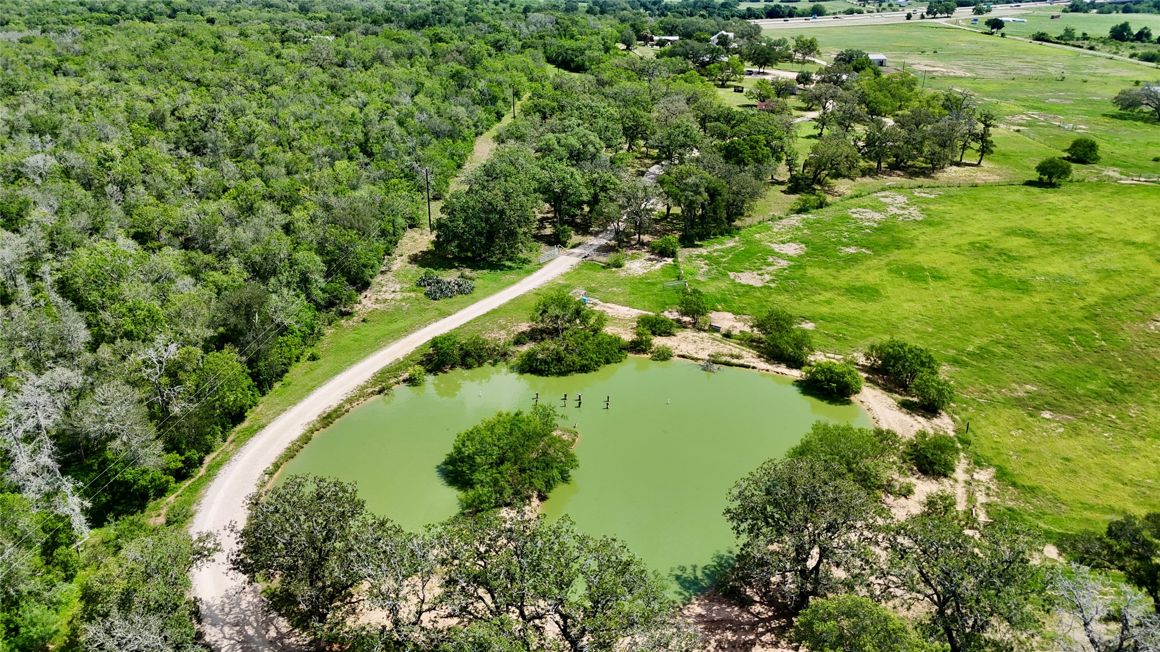 1175 Southern Way Luling, TX 78648 - Photo 13 of 40 A private pond and tree-lined driveway define this sprawling green landscape, perfect for serene country living.