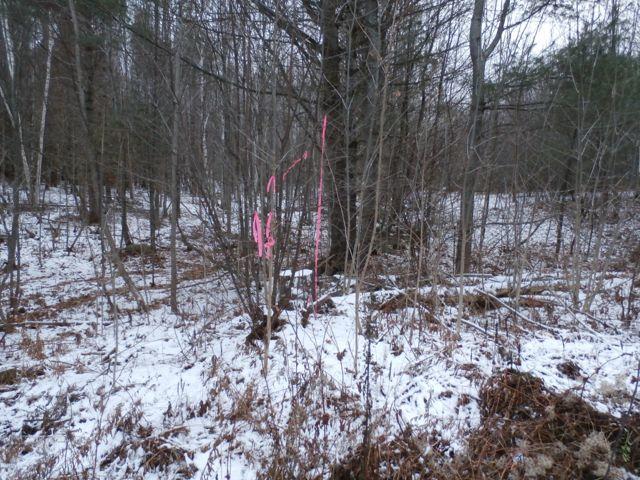 1 Lake Road Wilton, ME 04294 - Photo 9 of 25 PC090751