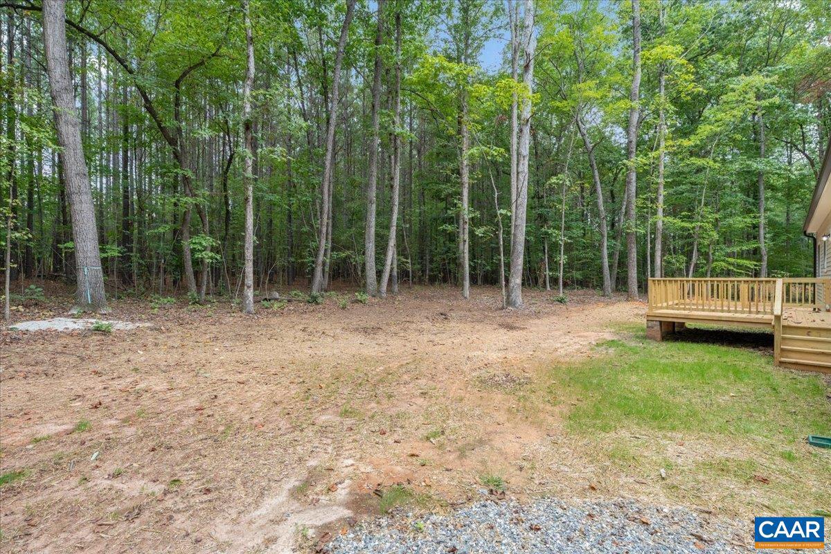21 Holman Mill Road Farmville, VA 23901 - Photo 11 of 54 Gallery Image 11