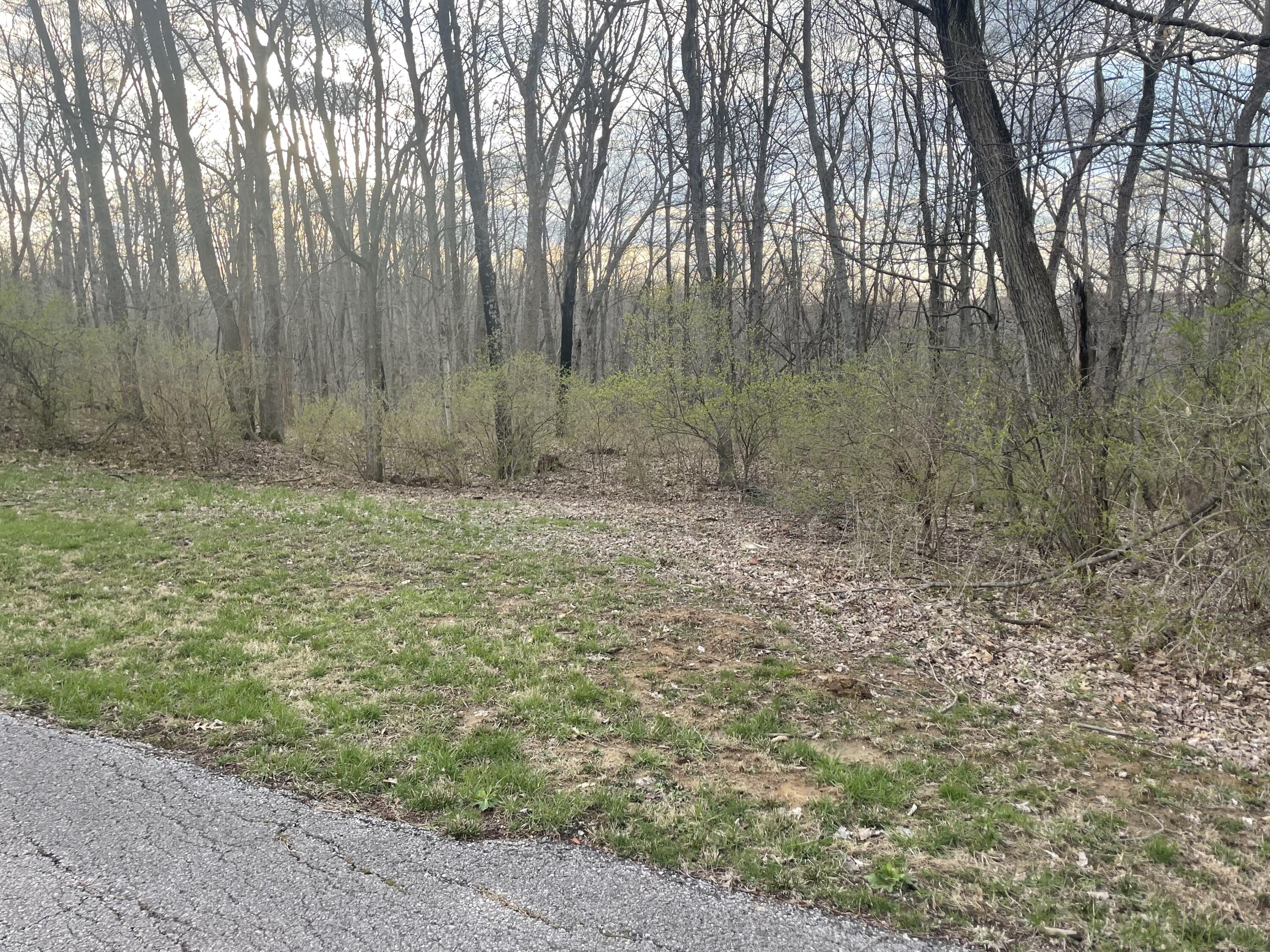 12789 Martin Road Independence, KY 41051 - Photo 8 of 15
