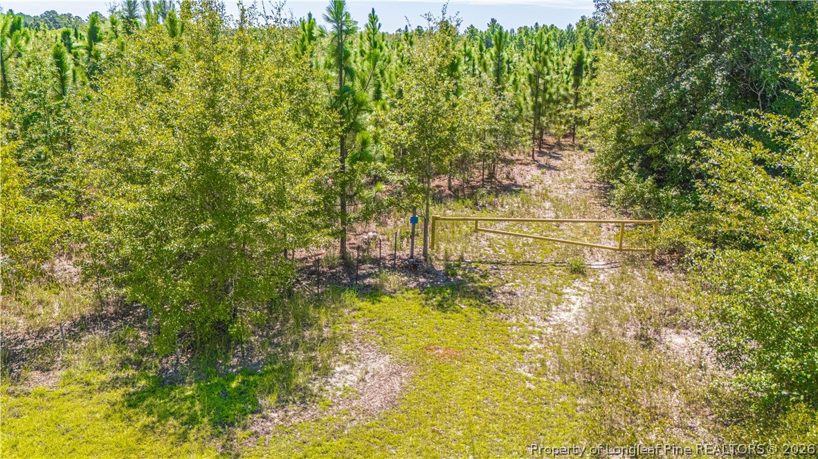 Tbd Blue Springs Road Red Springs, NC 28377 - Photo 6 of 11 Gallery Image 6