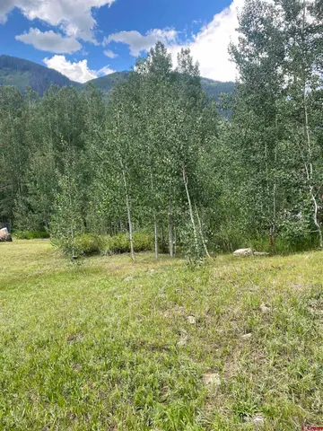 a view of a yard with a tree