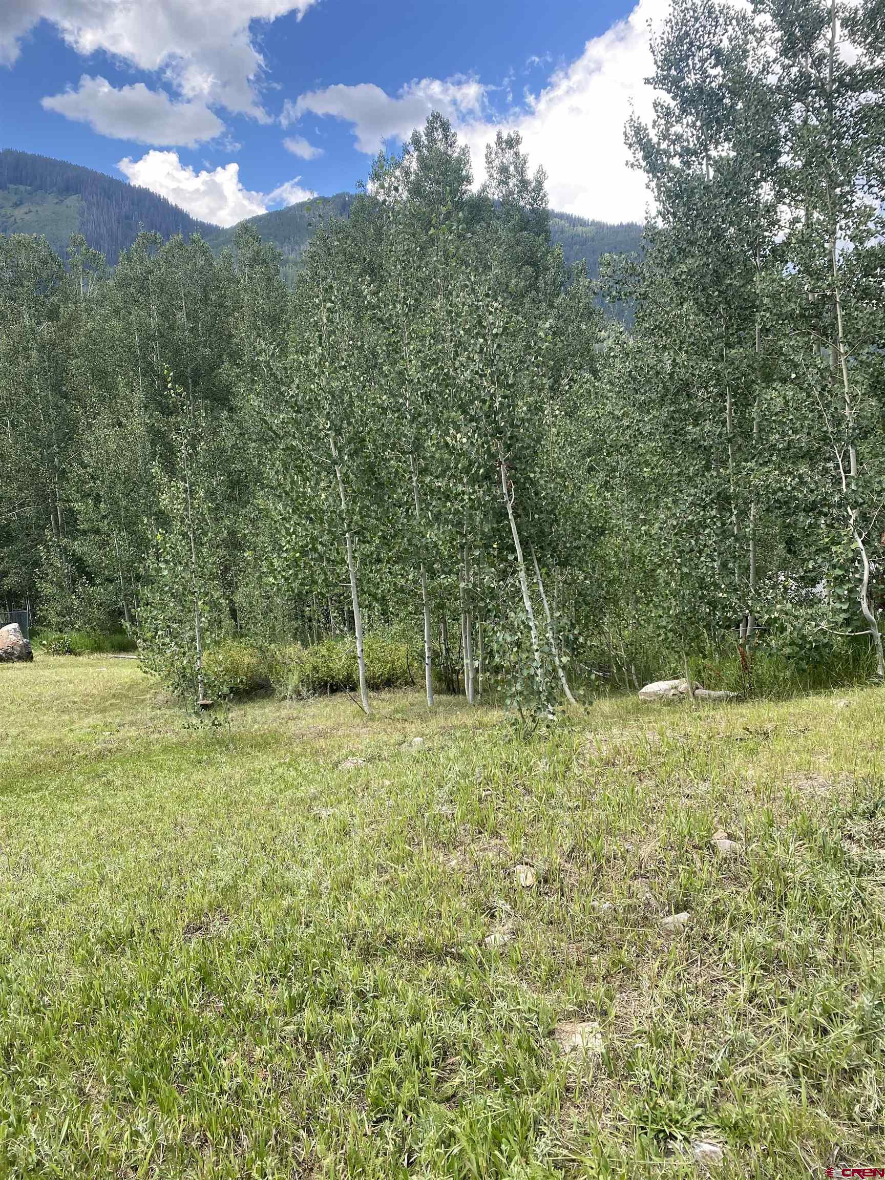 117 North Garfield Street Rico, CO 81332 - Photo 2 of 3 a view of a yard with a tree