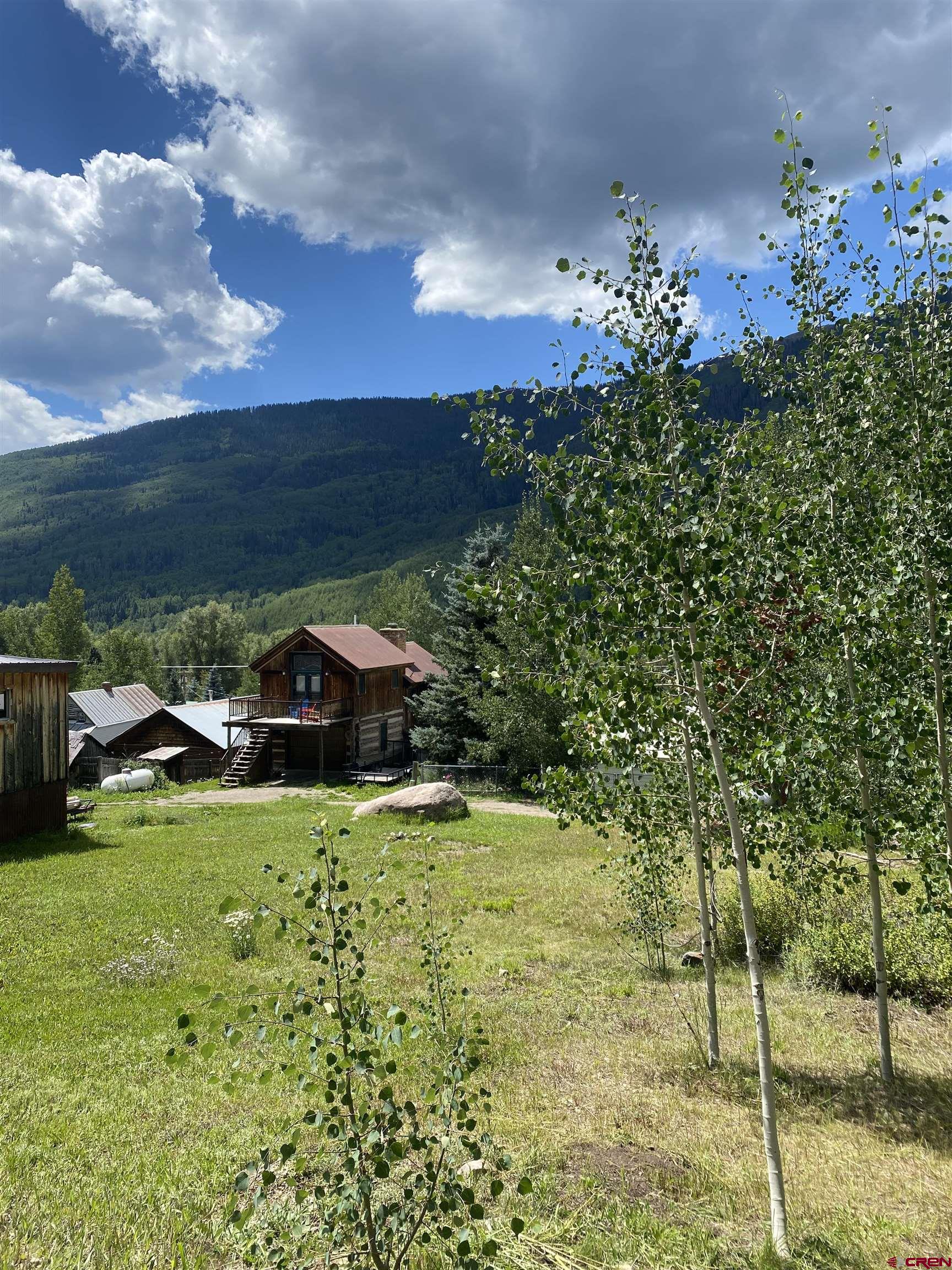 117 North Garfield Street Rico, CO 81332 - Photo 3 of 3 a view of a garden with a building in the background