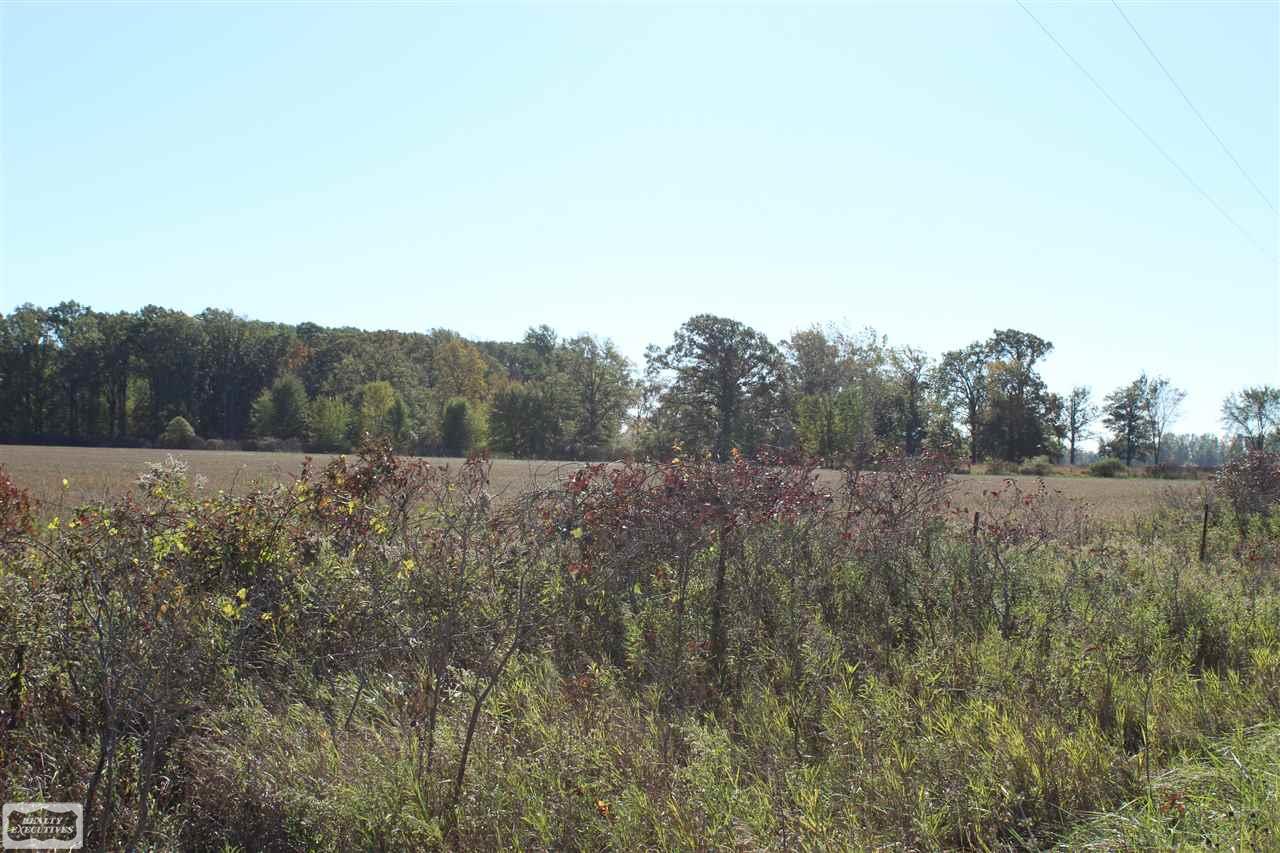 1142 Sperry Road Allenton, MI 48002 - Photo 15 of 19 31333503-17.JPG