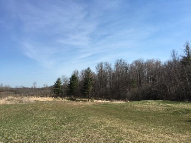 23504 3 Mile Road Reed City, MI 49677 - Photo 5 of 23 IMG_0958
