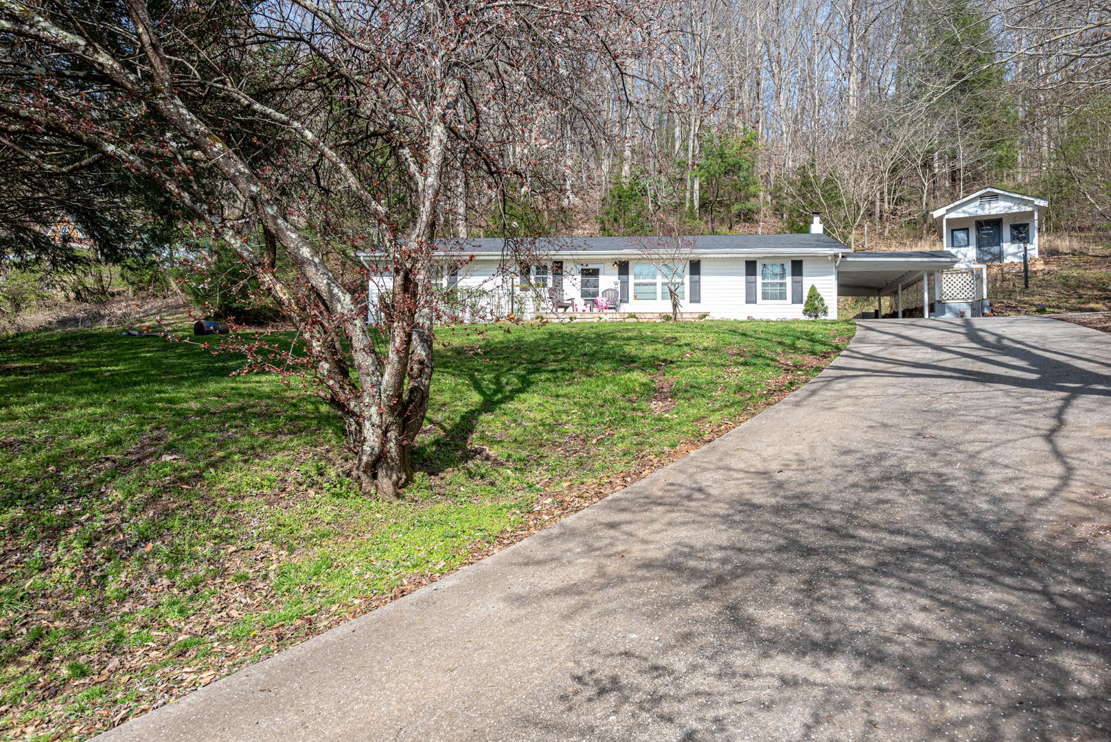 814 Mel Hall Road Maryville, TN 37803 - Photo 2 of 25 Gallery Image 2