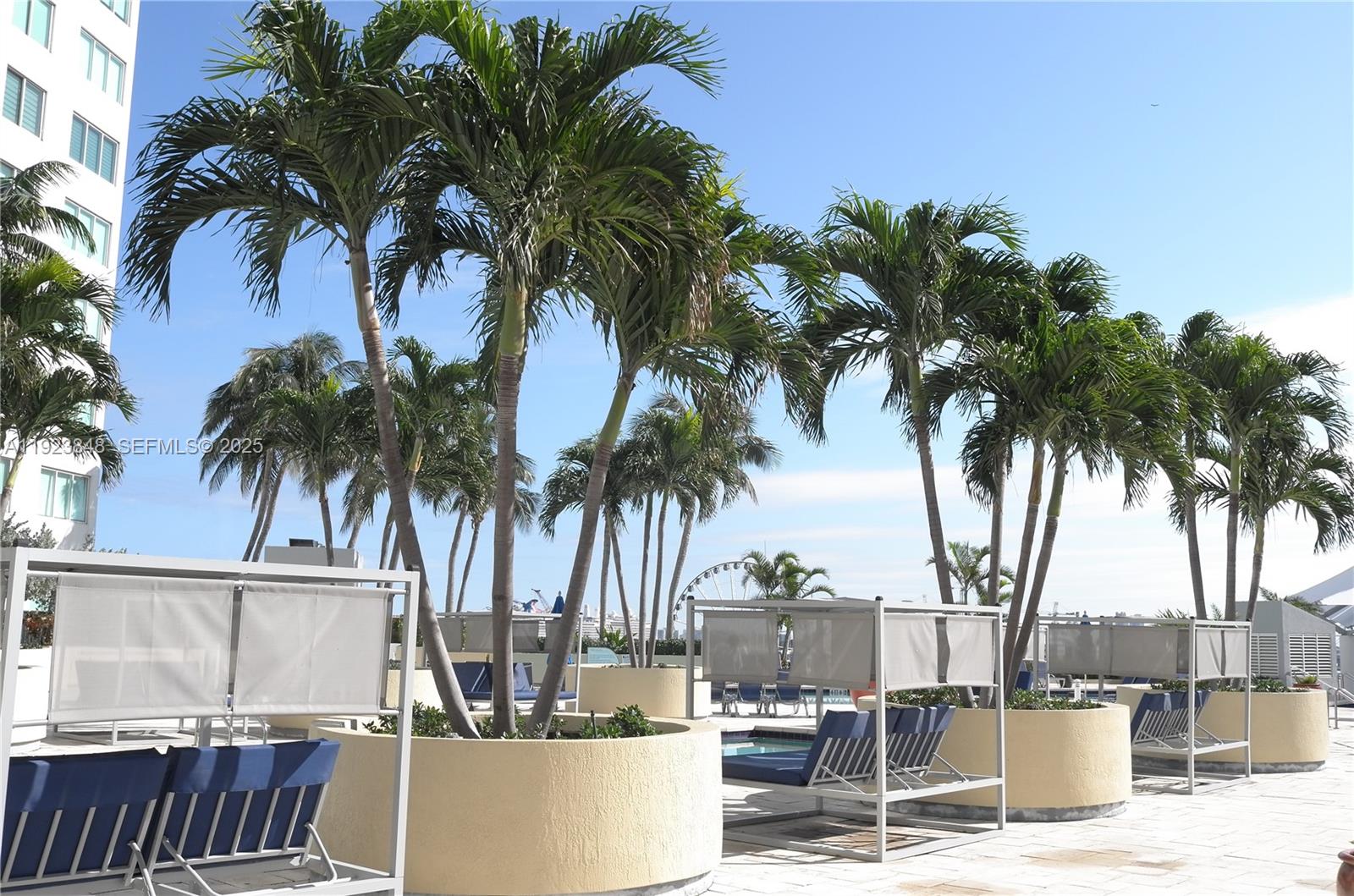 253 Northeast 2nd Street, Unit 908 Miami, FL 33132 - Photo 17 of 47 a view of a backyard with palm trees