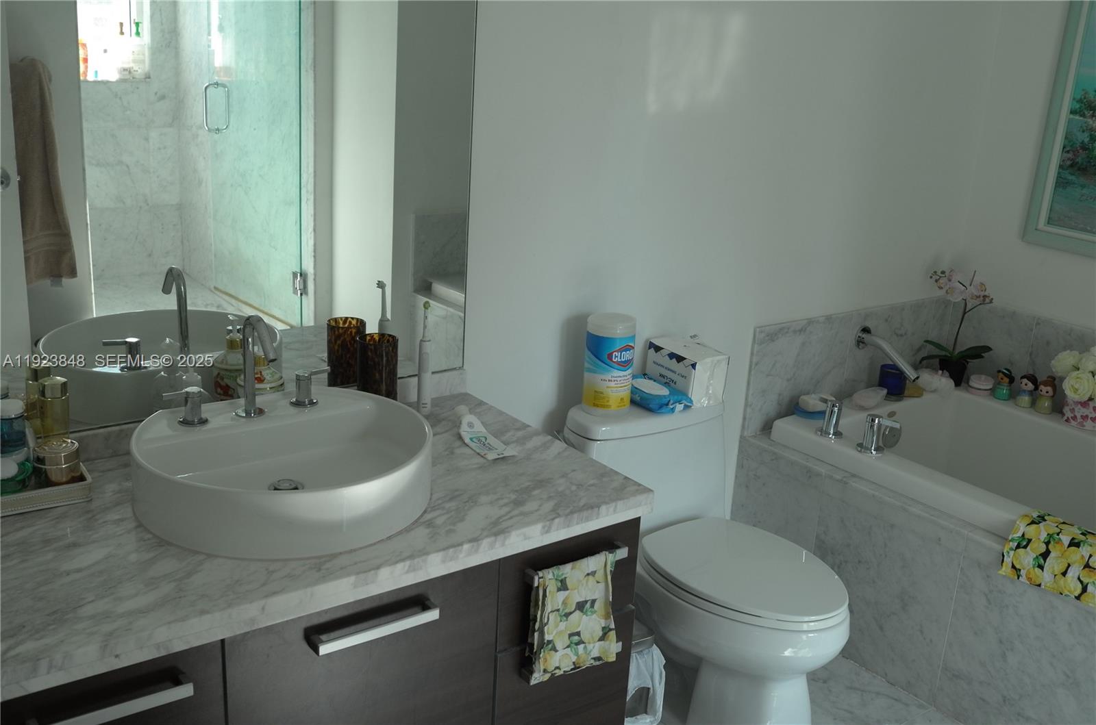 253 Northeast 2nd Street, Unit 908 Miami, FL 33132 - Photo 44 of 47 a bathroom with a sink and a mirror