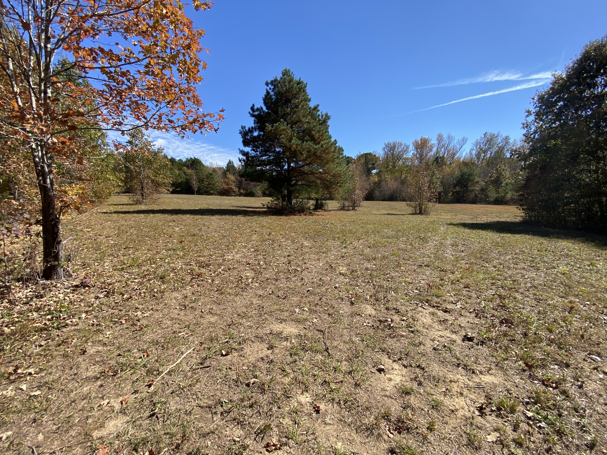 0 Bray Road Beech Bluff, TN 38313 - Photo 17 of 38 a large yard with lots of green space