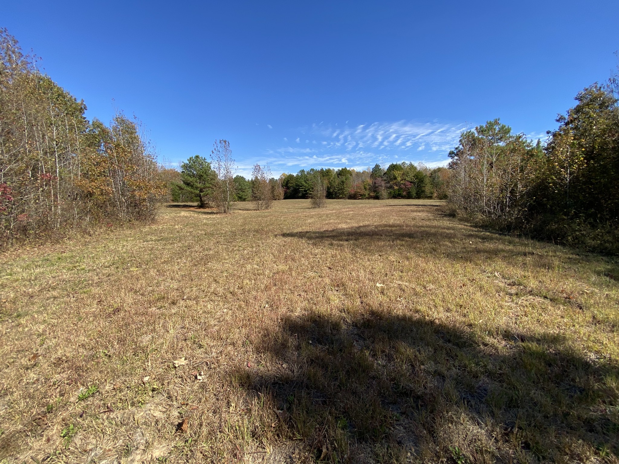 0 Bray Road Beech Bluff, TN 38313 - Photo 20 of 38 a view of a yard