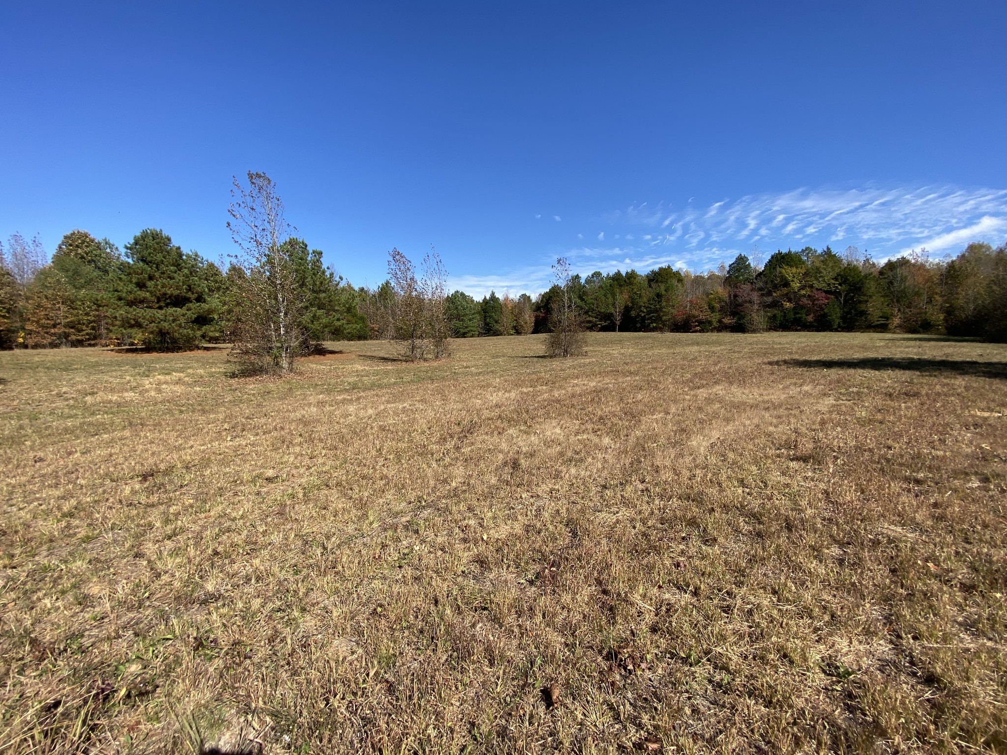0 Bray Road Beech Bluff, TN 38313 - Photo 21 of 38 a view of an outdoor space and a yard