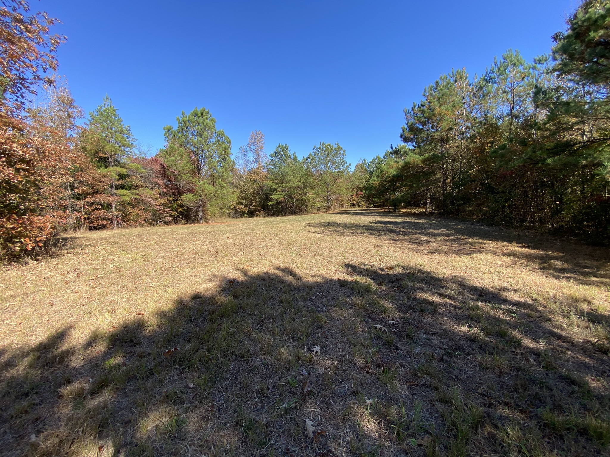 0 Bray Road Beech Bluff, TN 38313 - Photo 25 of 38 a view of ocean view with large trees