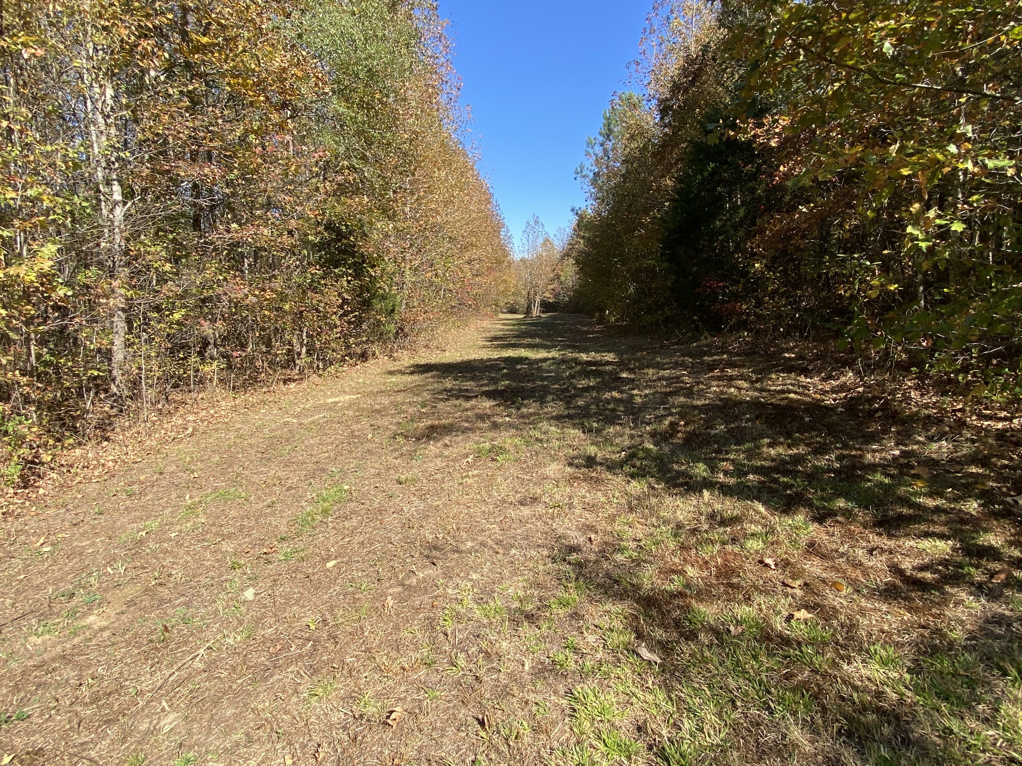 0 Bray Road Beech Bluff, TN 38313 - Photo 28 of 38 a view of dirt field with trees