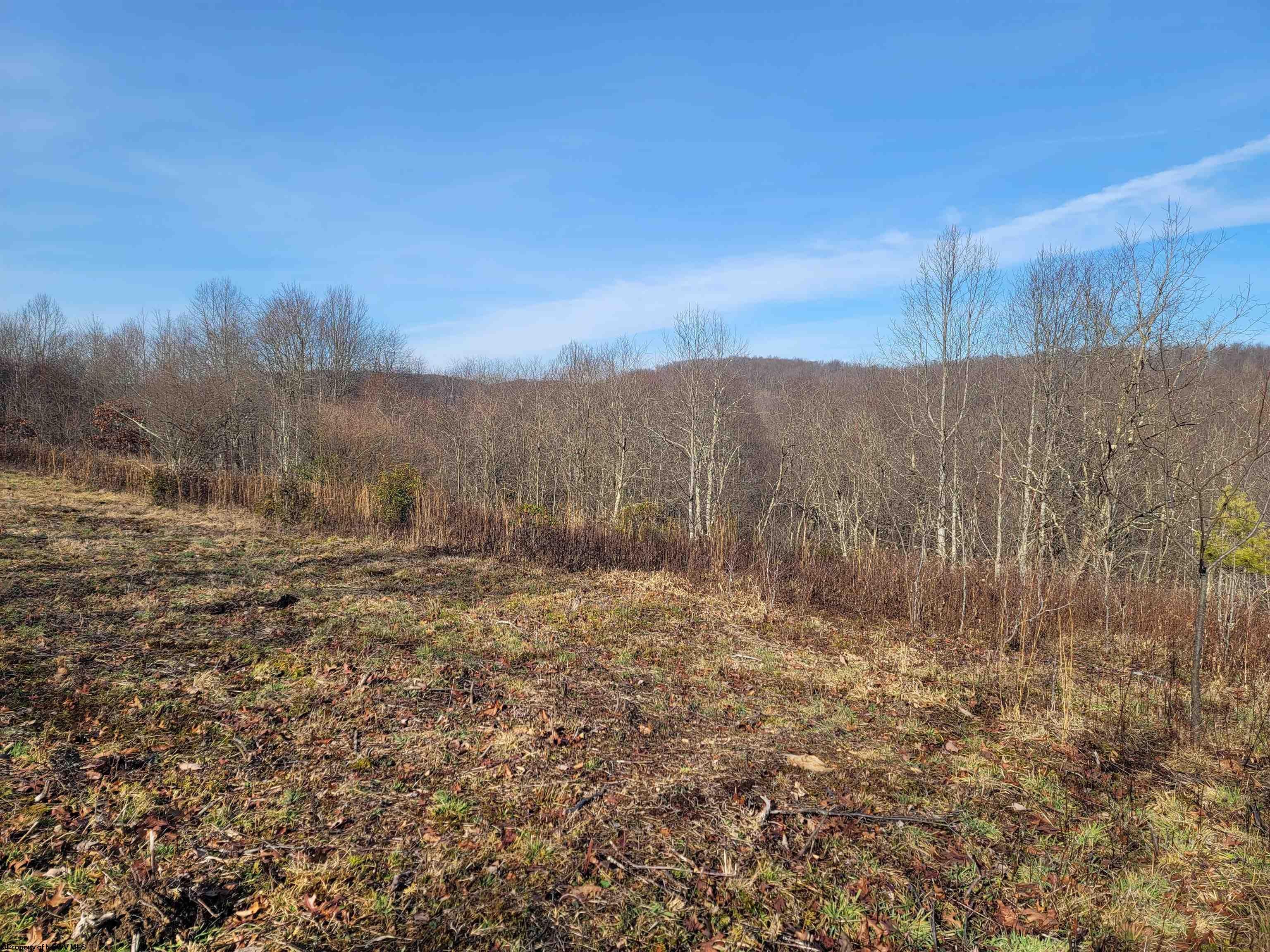 Lot 4 Sand Bank Reedsville, WV 26547 - Photo 5 of 15 Gallery Image 5