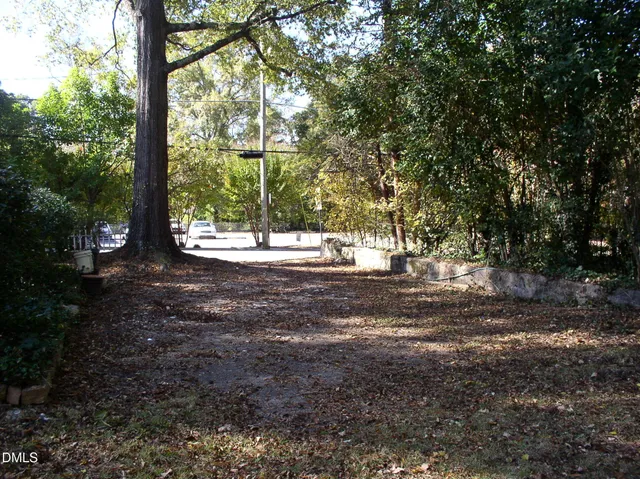 a backyard of a house with plants and tree