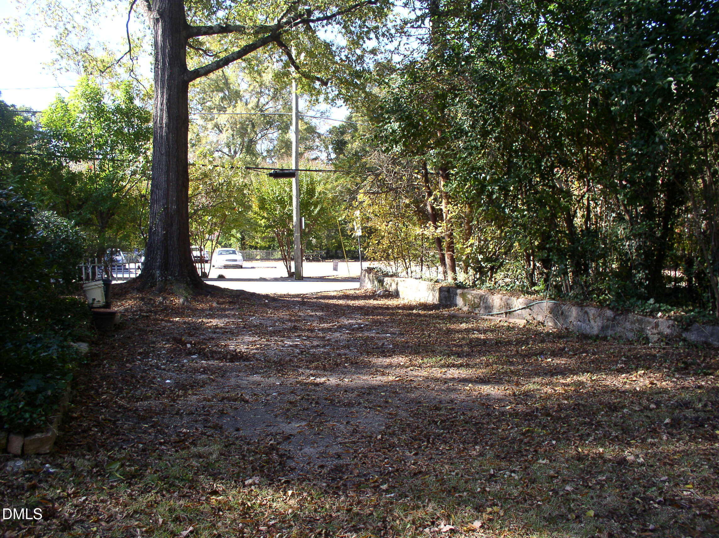 934 South Chestnut Street Henderson, NC 27536 - Photo 45 of 56 a view of a trees with a yard