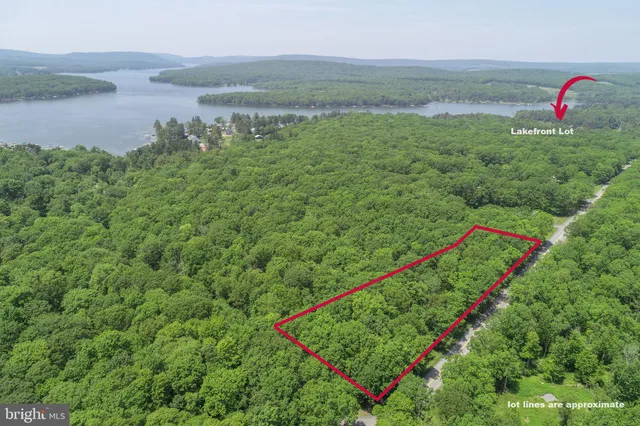 an aerial view of residential house with outdoor space and trees all around