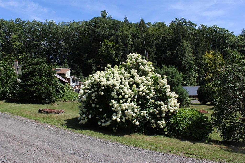 70 Broad Brook Road Vernon, VT 05354 - Photo 11 of 13 Gallery Image 11