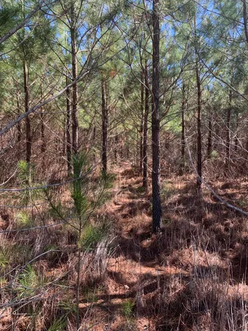 $150,400 | 0 Moton Moore Road, McCormick, SC 29835