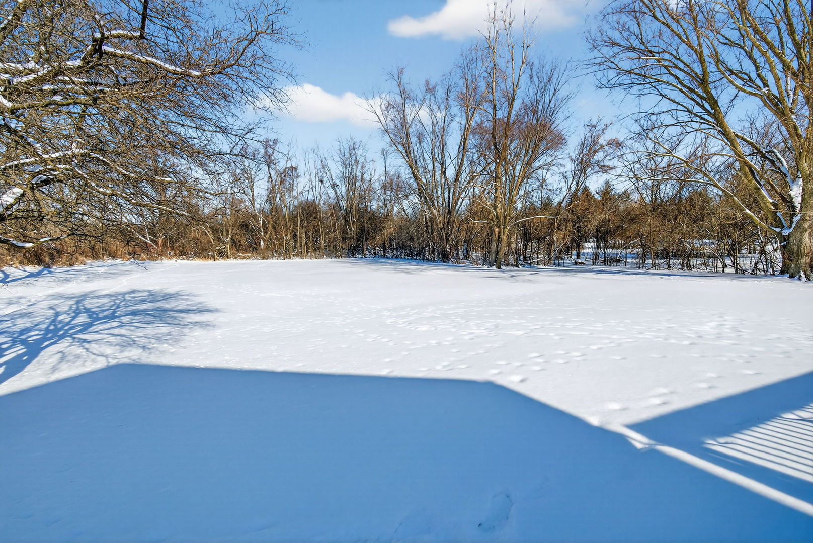 4448 Maple Avenue Matteson, IL 60443 - Photo 26 of 26 a view of snow on the side of a road