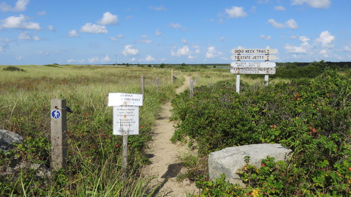 66 Mashie Circle Mashpee, MA 02649 - Photo 35 of 39 385EB1F8-82DC-4ADF-95DB-00A0078DE026_1_1