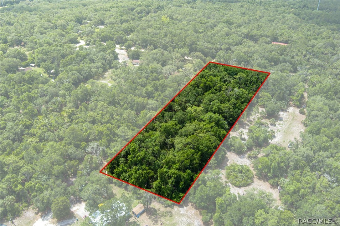 15085 West Rooster Crows Road Inglis, FL 34449 - Photo 7 of 16